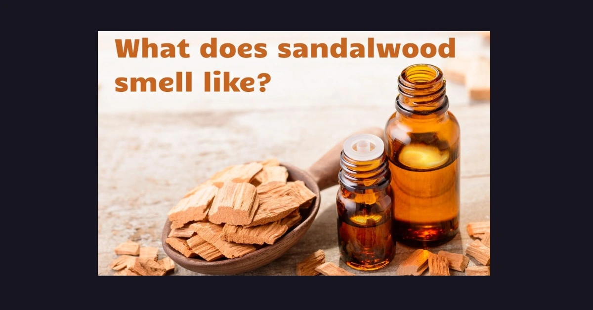 What Does Sandalwood Smell Like