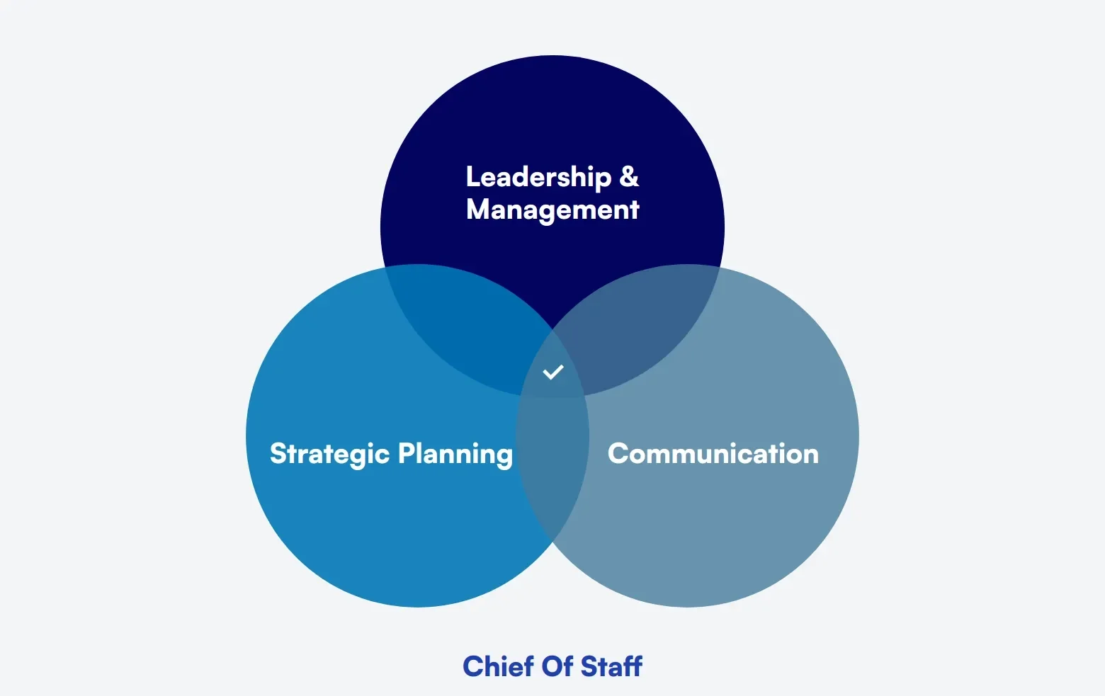 What Skills Does a Chief of Staff Need