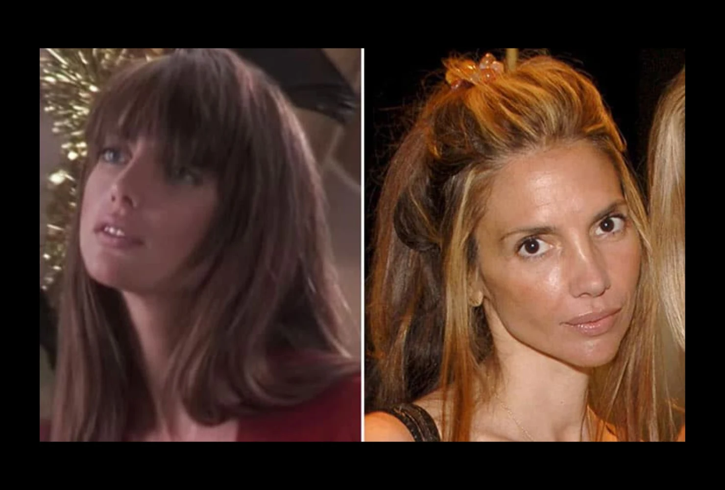 nicolette scorsese net worth