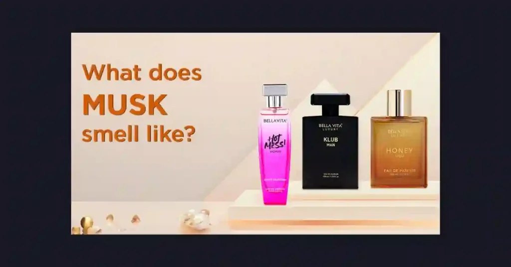 What Does Musk Smell Like