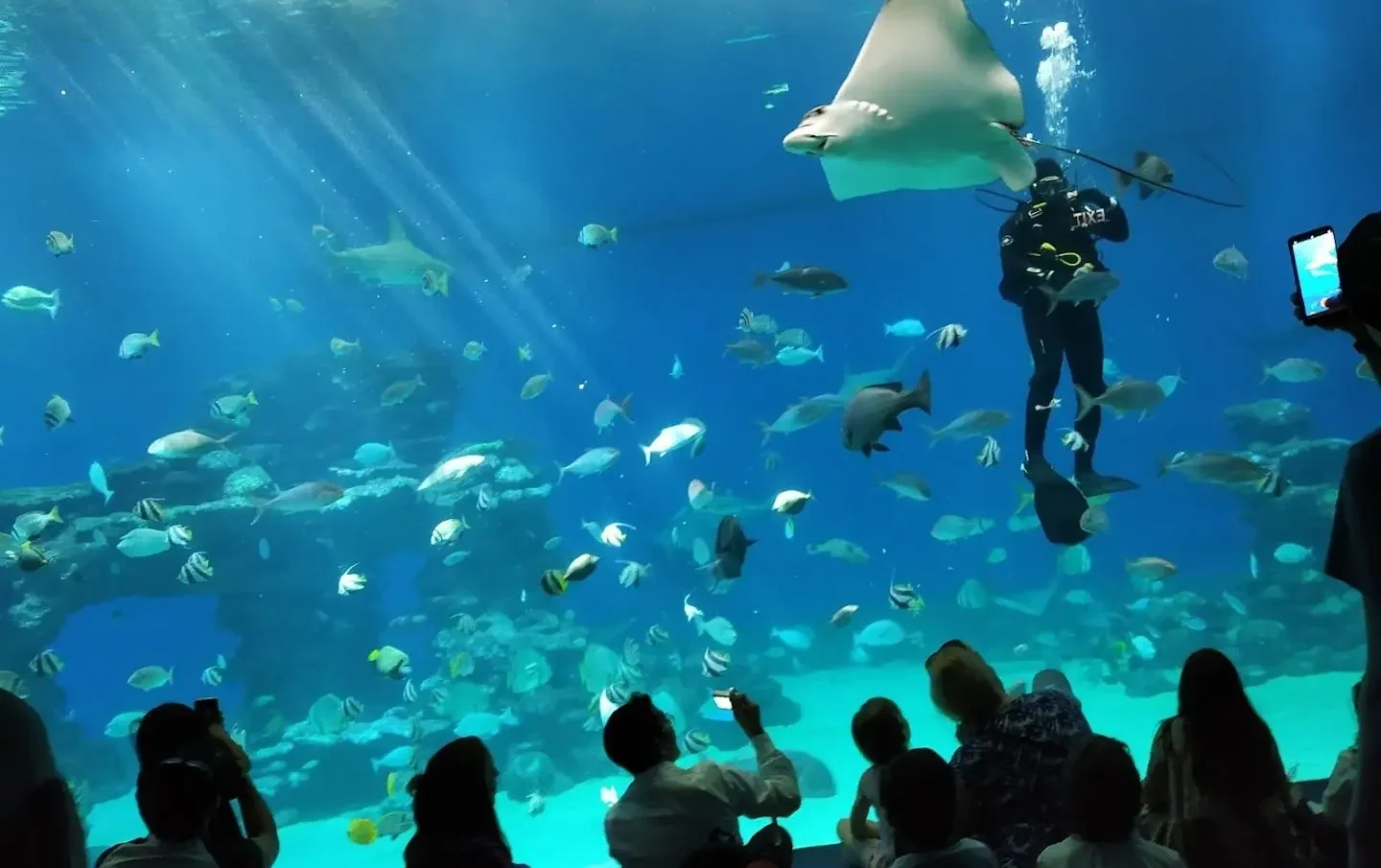 Underwater Observatory Park