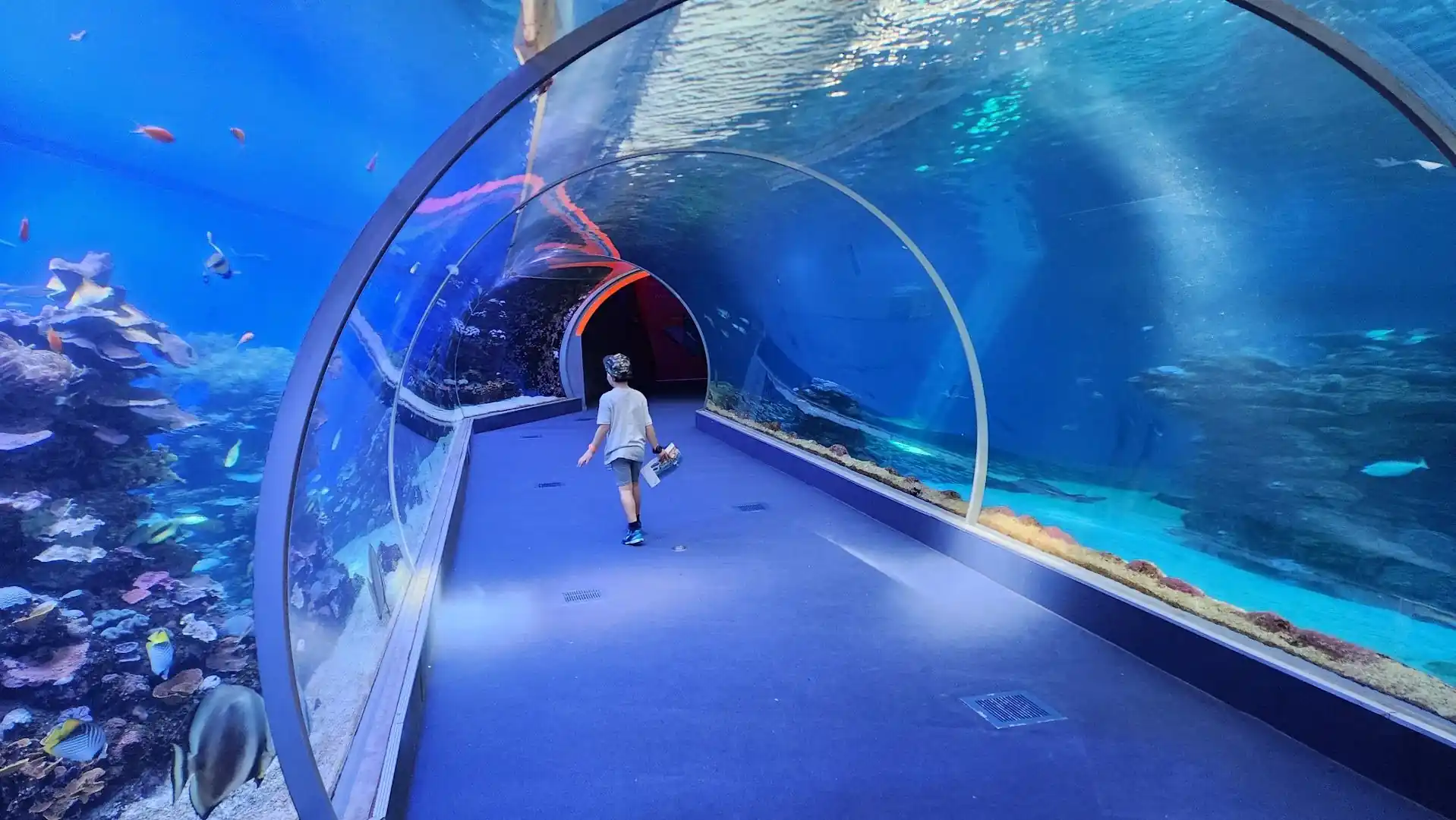 Underwater Observatory Park