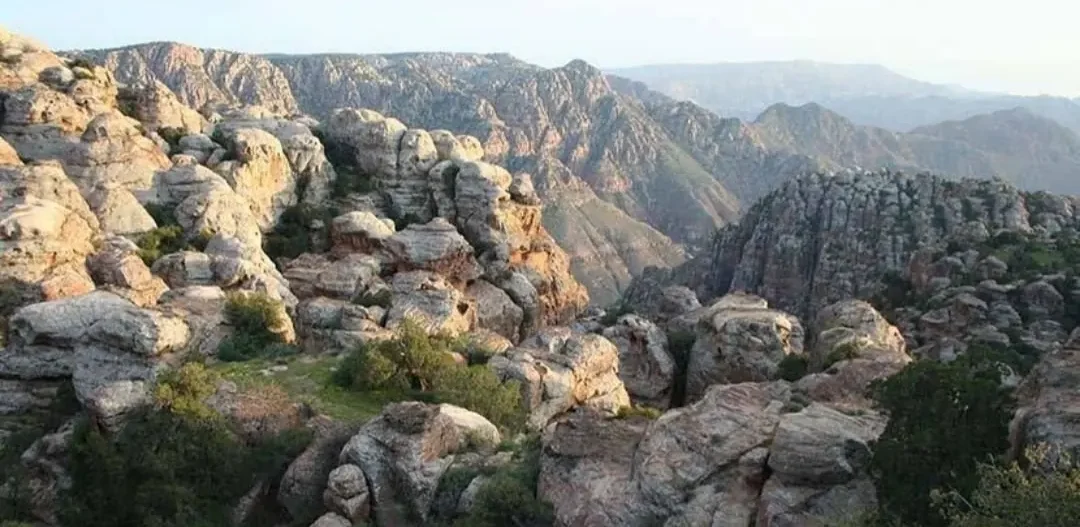 Dana Biosphere Reserve