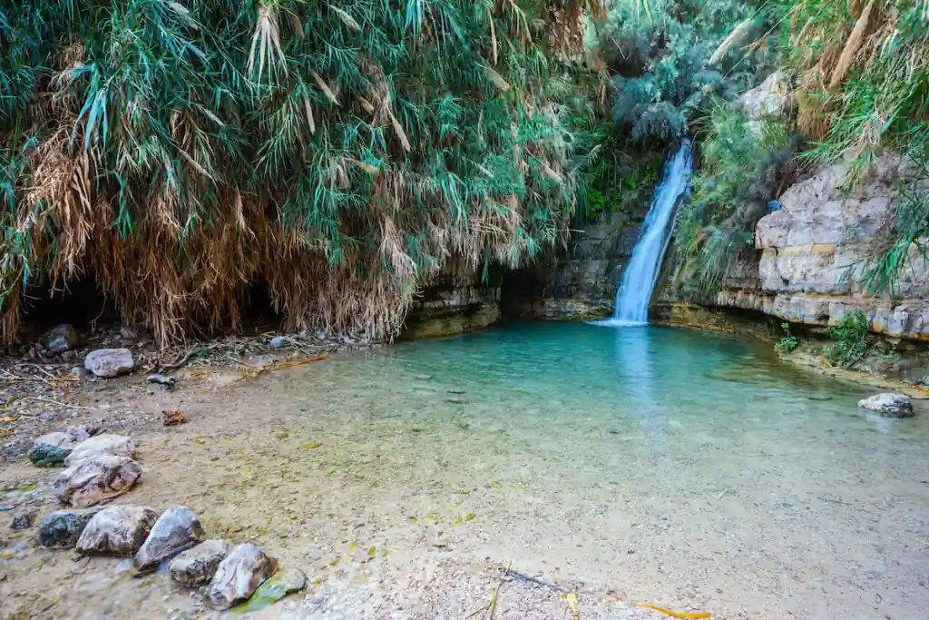 Ein Gedi Nature Reserve