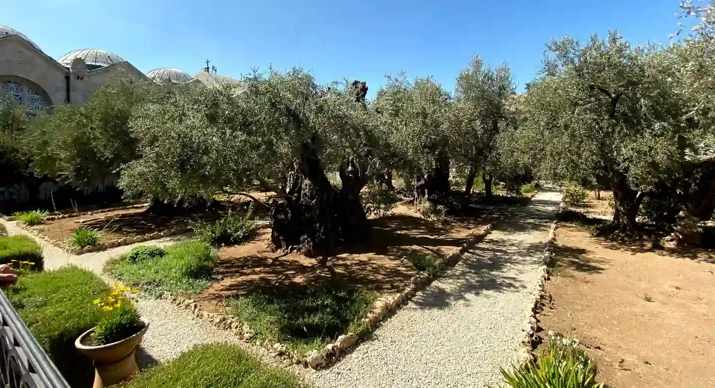 Garden of Gethsemane