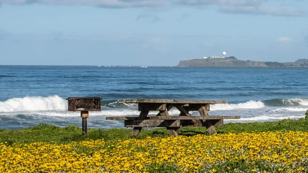Half Moon Bay Park & Beach