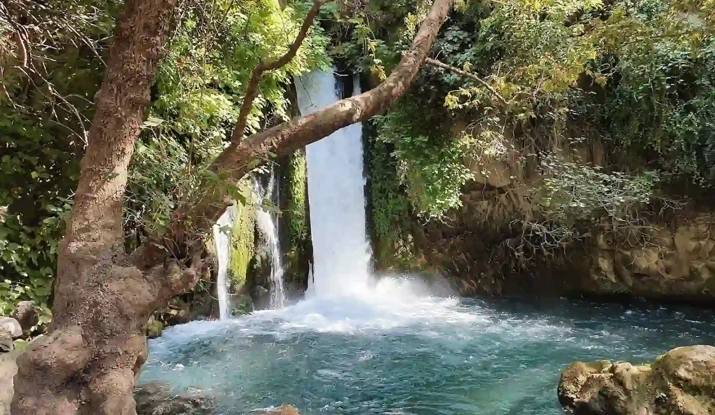 Hermon Stream Nature Reserve