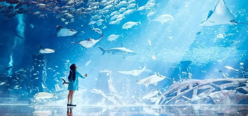 Lost Chambers Aquarium