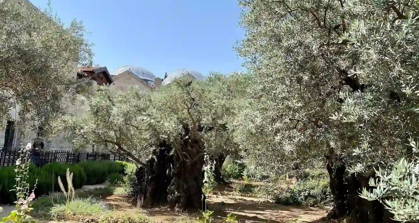 Mount of Olives
