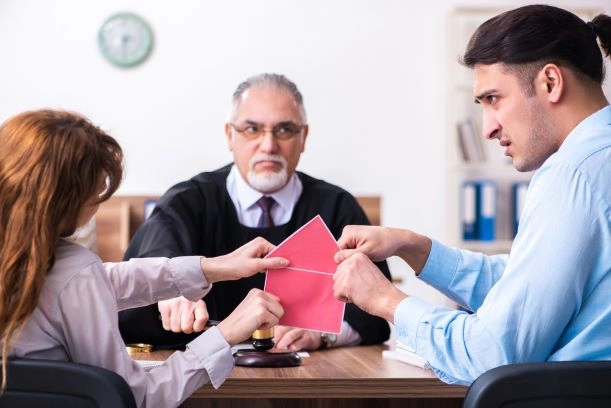 Plaintiff and Defendant in Civil Cases