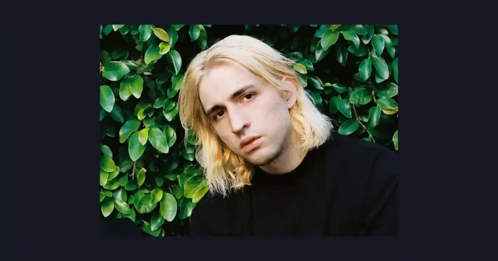 Porter Robinson Net Worth