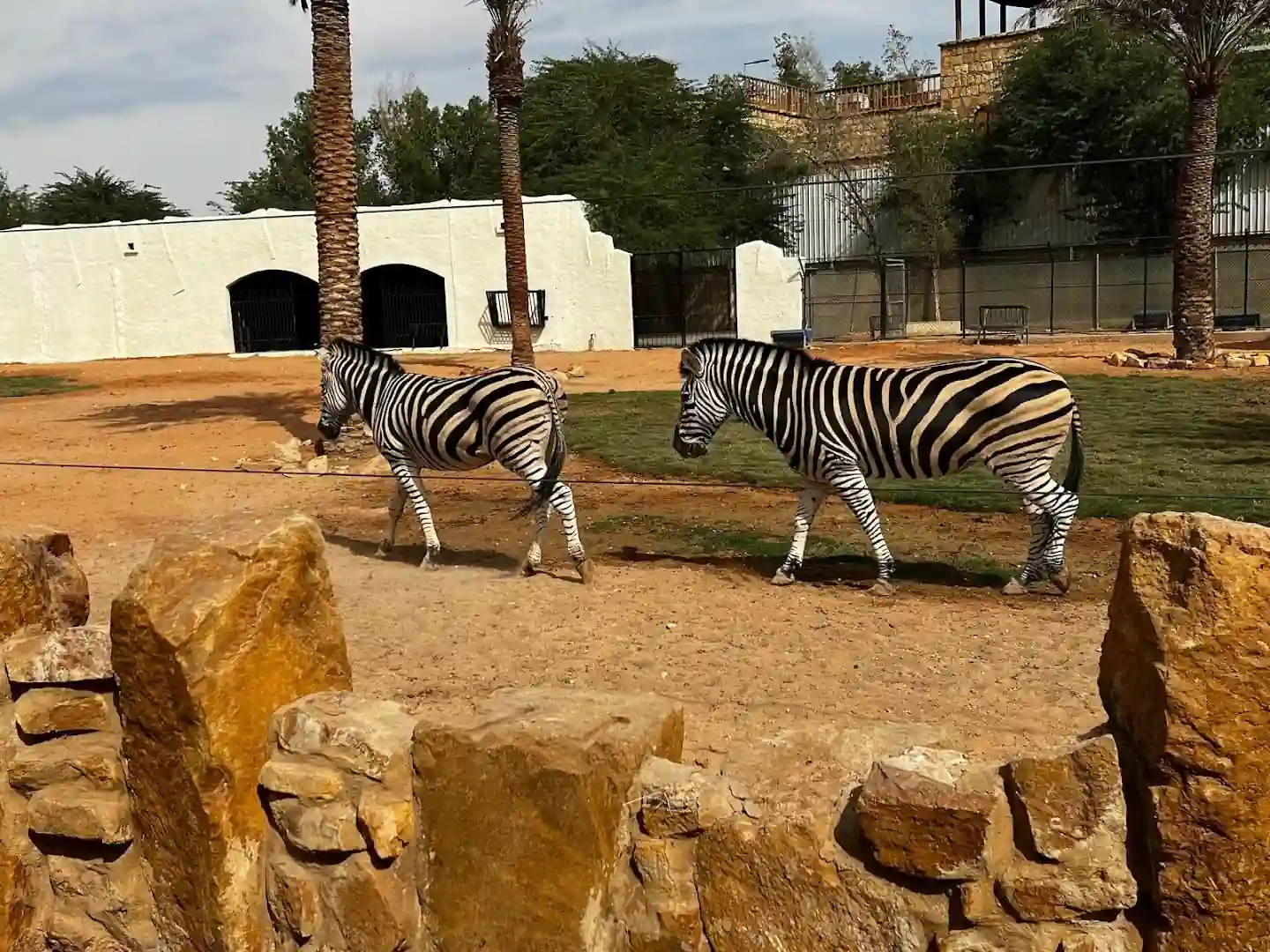 Riyadh Zoo