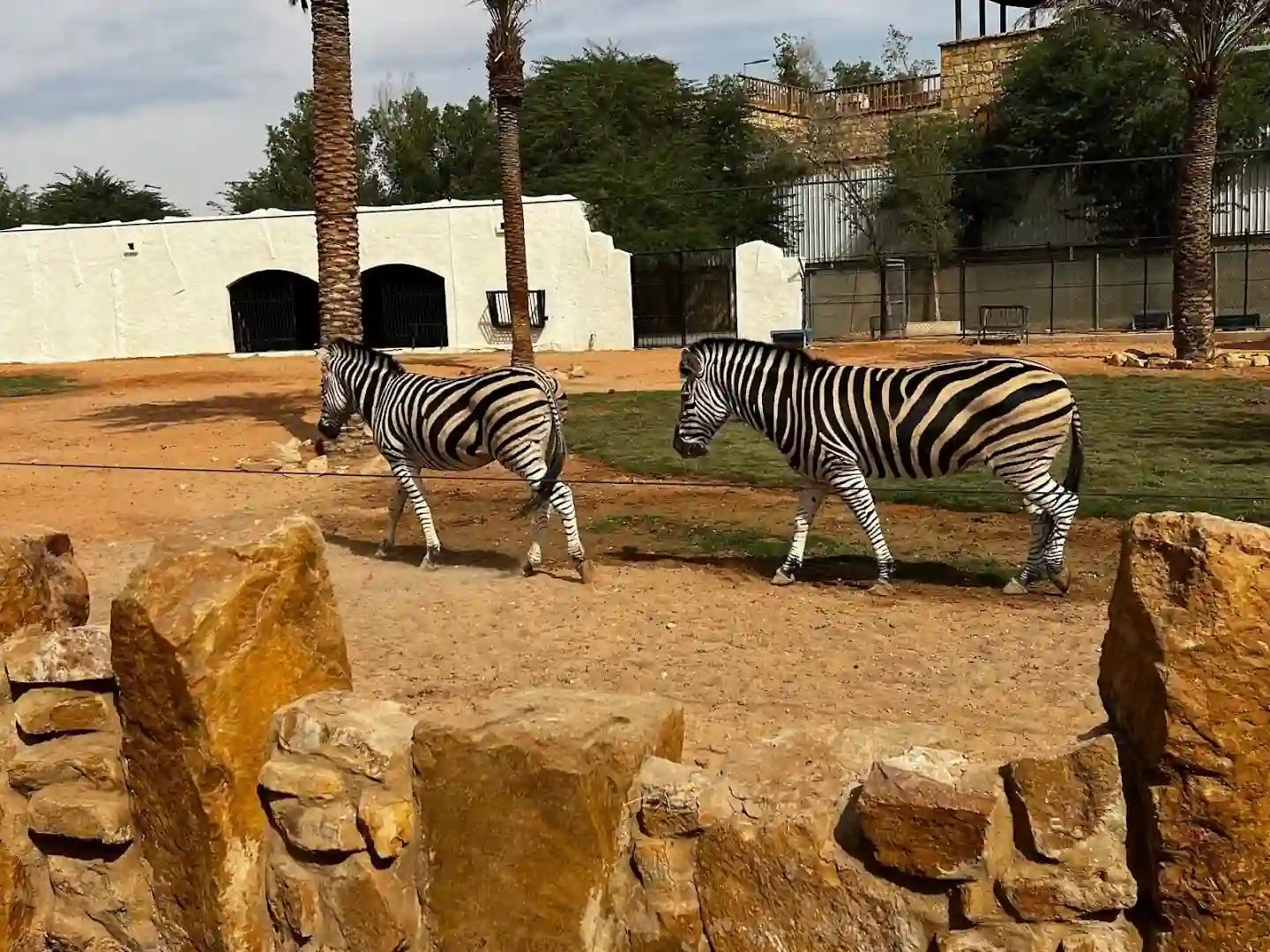 Riyadh Zoo