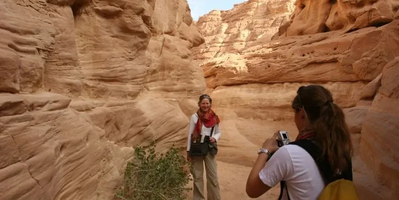 Sinai Safari Adventures