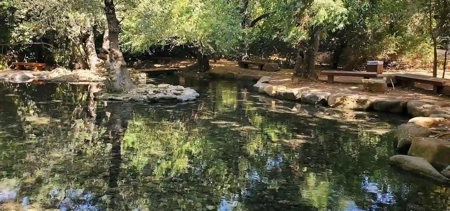 Tel Dan Nature Reserve