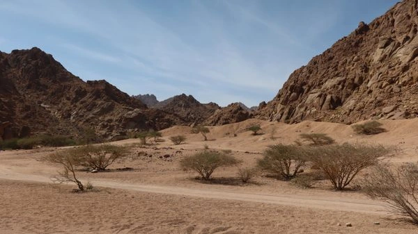 Wadi E Jin (Wadi Al Baida)