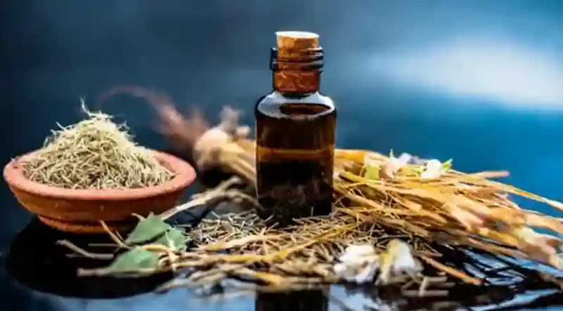 What Is Vetiver and What Does It Smell Like